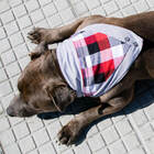 Bandana para Cachorro Pet Unissex Cães Xadrez Dupla Face Tama