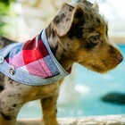 Bandana para Cachorro Pet Unissex Cães Xadrez Dupla Face Tama