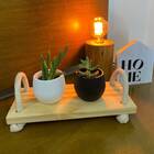 Bandeja Corda Pinus Pequena