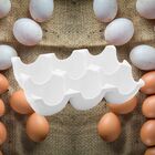 Bandeja De Porcelana Branca Para 6 Ovos New Bone Montana - Wp