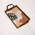 Bandeja Decorativa Pequena Costela De Adão Verde - 32x22cm Ma