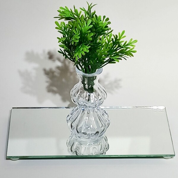 Bandeja Espelhada Com Vasinho Decorativo Folha De Cenoura Art