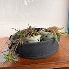 Bandeja Preto Fosco Arapaçu