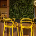 Banqueta Alta Em Polipropileno Alegra Espresso Móveis Amarelo