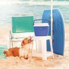 Banqueta Bela Vista 15151111 Mor