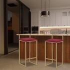 Banqueta Decorativa Selena Base Gold Suede Bordô G41 - Gran B