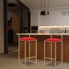 Banqueta Decorativa Selena Base Gold Suede Vermelho G41 - Gra