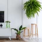 Banqueta Jaú Natural E Branca