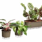 Barra Multiuso Preto - 100cm