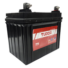 Bateria 12V-30Ah Tudor Trator Cortador Branco