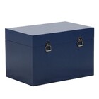 Baú Fera Grande 60x40cm - Azul