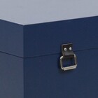 Baú Fera Grande 60x40cm - Azul