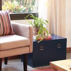 Baú Fera Grande 60x40cm - Azul