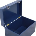 Baú Fera Grande 60x40cm - Azul