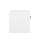 Baú Fera Médio 40x30cm - Branco