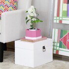 Baú Fera Médio 40x30cm - Branco