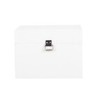 Baú Fera Médio 40x30cm - Branco