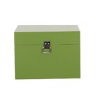 Baú Fera Médio 40x30cm - Verde