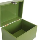 Baú Fera Médio 40x30cm - Verde