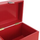 Baú Fera Médio 40x30cm - Vermelho