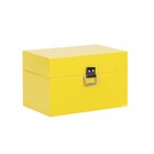 Baú Fera Pequeno 33x21cm - Amarelo