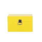 Baú Fera Pequeno 33x21cm - Amarelo