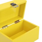 Baú Fera Pequeno 33x21cm - Amarelo