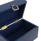 Baú Fera Pequeno 33x21cm - Azul