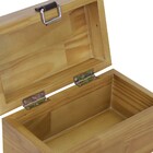 Baú Fera Pequeno 33x21cm - Mel