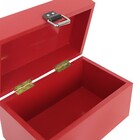 Baú Fera Pequeno 33x21cm - Vermelho