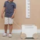 Baú Infantil Organizador De Brinquedos Com Rodinhas - Midi -