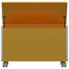 Bau Multiuso M - Amarelo - Primolar