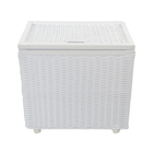 Baú Organizador C/ Rodízios 60x40x48cm - Branco