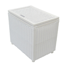 Baú Organizador C/ Rodízios 60x40x48cm - Branco