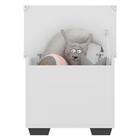 Baú Organizador Caixa De Brinquedos Pés Quadrados Multimóveis