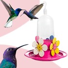 Bebedouro Beija Flor Bandeja Com Poleiro 250ml Jel Plast  250