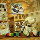 Bebedouro/comedouro Quadrado Madeira Inox- Tam. Médio