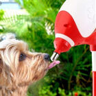 Bebedouro De Bilha Lambe Lambe Truqys Pets Vermelho