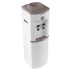 Bebedouro De Coluna Esmaltec Garrafao Ecg35b