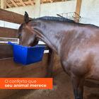 Bebedouro Para Animal 25l Azul Gplas