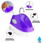 Bebedouro Pet Automatico Bivolt Roxo + Gelo Reutilizavel Pet
