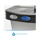 Bebedouro Purificador De Pressão Prata Ibbl Pdf300-2t 220v