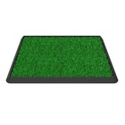 Beclean Tapete Sanitizante