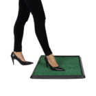 Beclean Tapete Sanitizante