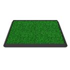 Beclean Tapete Sanitizante