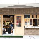 Beclean Tapete Sanitizante