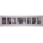 Bee Colection 7 Fotos Branco