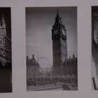 Bee Colection 7 Fotos Branco