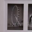 Bee Colection 7 Fotos Branco