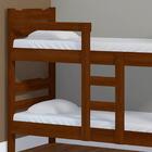 Beliche De Madeira Maciça Castanho Com 2 Colchões Robusta Nem